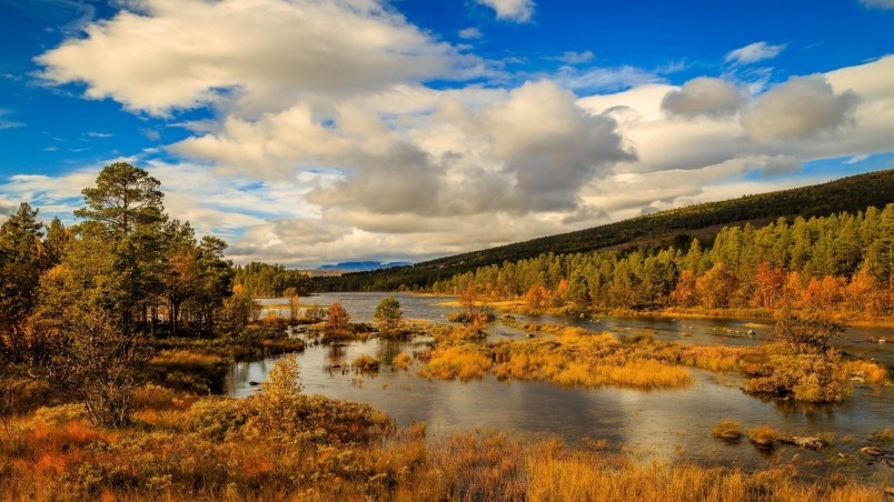 norway-autumn-landscape